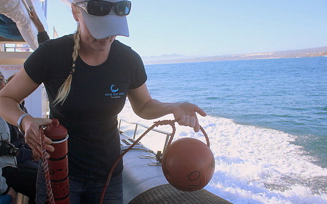 Preparing a reciever for deployment offshore of Quoin Point